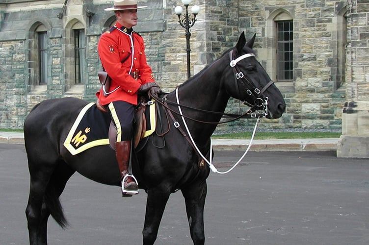 Royal Canadian Mounted Police - now Devon & Cornwall Police are recruiting its own mounted citizen volunteers. Image by Michael Kipshagen.
