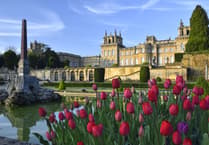 One of Britain’s most extraordinary days out at Blenheim Palace