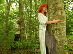 County show introduces first‑ever tree hugging experience