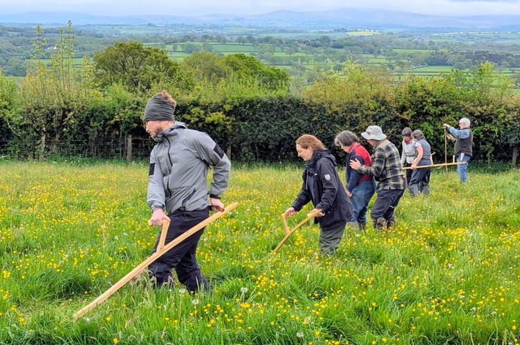 Sustainable Hatherleigh carrying out a community project on sustainability.