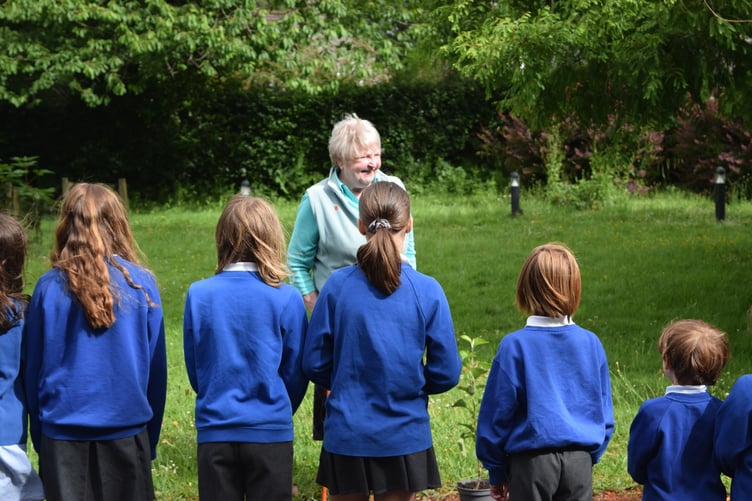 Apple guru Celia Steven presents an apple tree to St Andrew's Academy pupils in Buckland Monachorum.