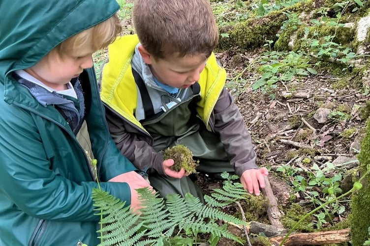 Horrabridge Primary School getting their hands dirty digging for bugs.