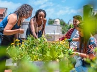 National Grid fund available for green space projects