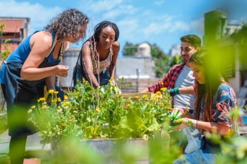National Grid fund for green spaces stock pic