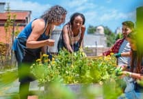 Funds available for Devon groups improving green spaces