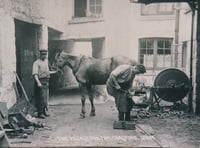 Celebrating moorland life at 75 