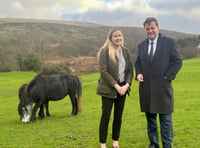 Central Devon MP describes pony threat as 'total madness'