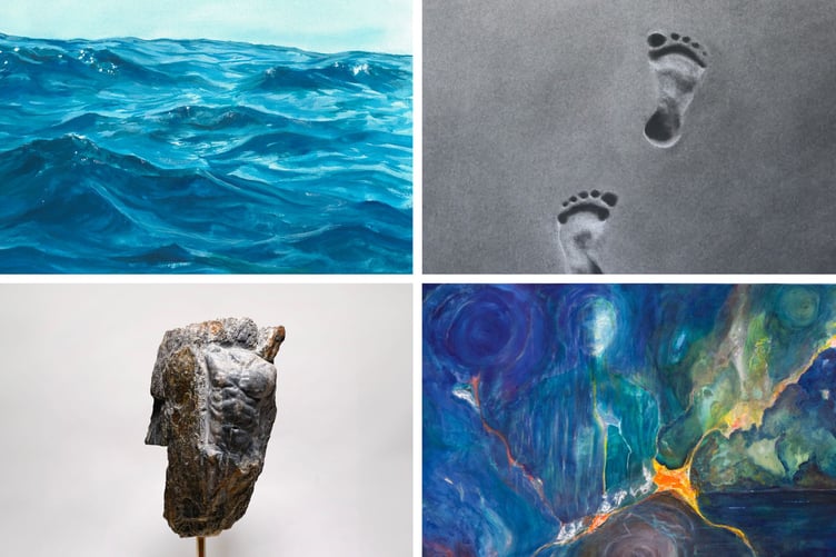 Some of the artworks which will be on show. Clockwise from top right: Footprints in the sand by Cat Lake, Witness Web by Kevin Tharme, Hide IV by Jordan Eastwood and Lost in Motion by Jordan Hendrie.