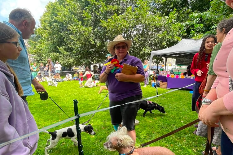 Proud pooch owners parade their four-legged 'best friends' at Tavistock Cream Tea Festival fete.
