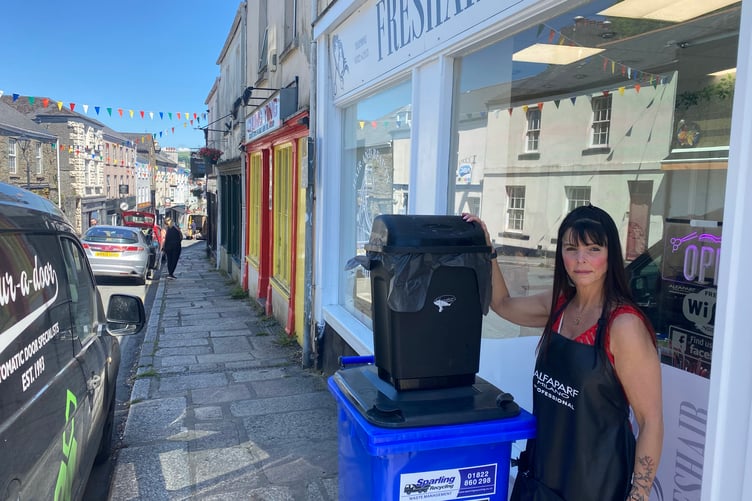 Tavistock hairdresser Tracey Carnell is battling environmental laws which say she has to use the large blue bin (pictured) rather than the smaller (top) bin to dispose of hair off-cuts.