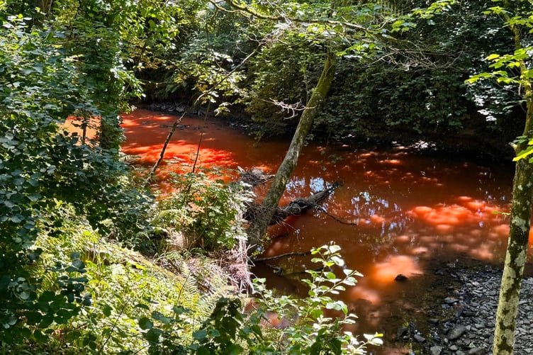 River Lew Hatherleigh water discolouration
