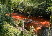 Discoloured river water in Hatherleigh likely caused by sediment, not sewage