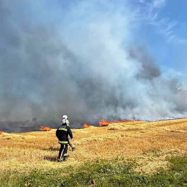 Firefighters tackle multiple heatwave wildfires 