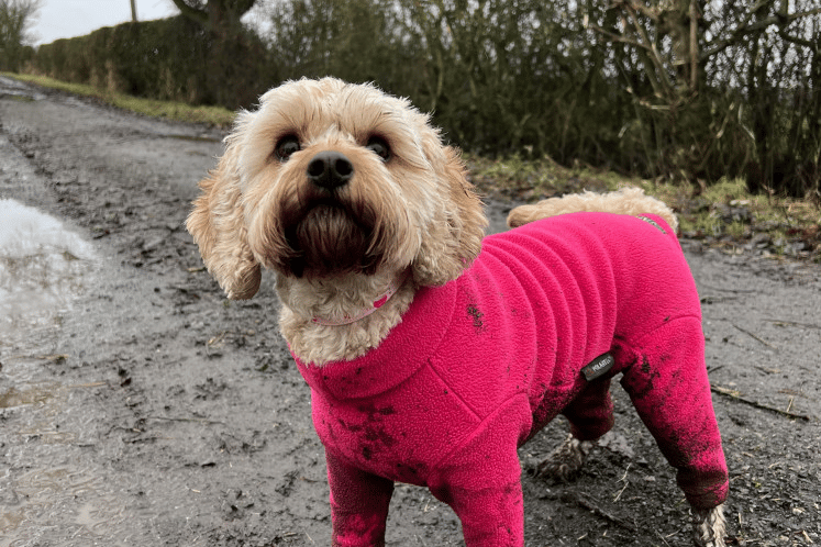 Equafleece