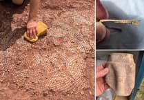 Rare Roman mosaic and bathhouse uncovered on Devon farmland