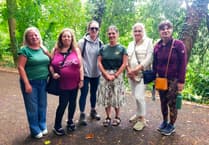 Tavistock walk discovers local 'healing' plants