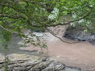 Residents slam Tavy's 'shameful' sewage pollution