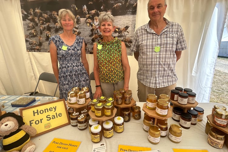 There was local honey for sale - the beekeepers' own back gardens - in the Okehampton Beekeepers' tent.