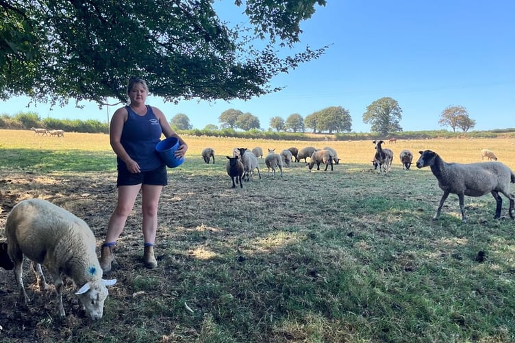 Farmer Mary Ayland with her flock.
