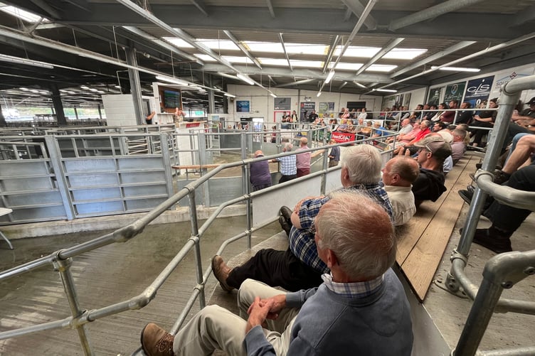 Farmers and smallholders attending a bluetongue update at Holsworthy Market