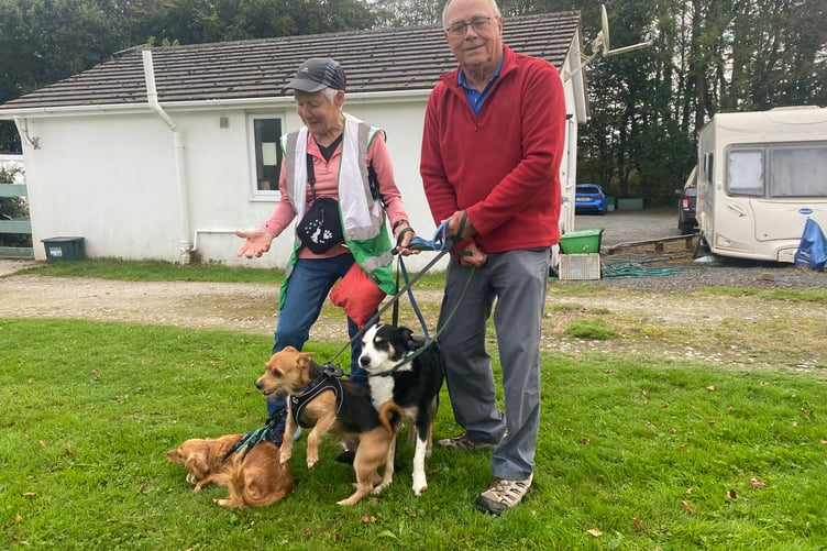 Raring to go on the Margaret Green sponsored mass dog walk.