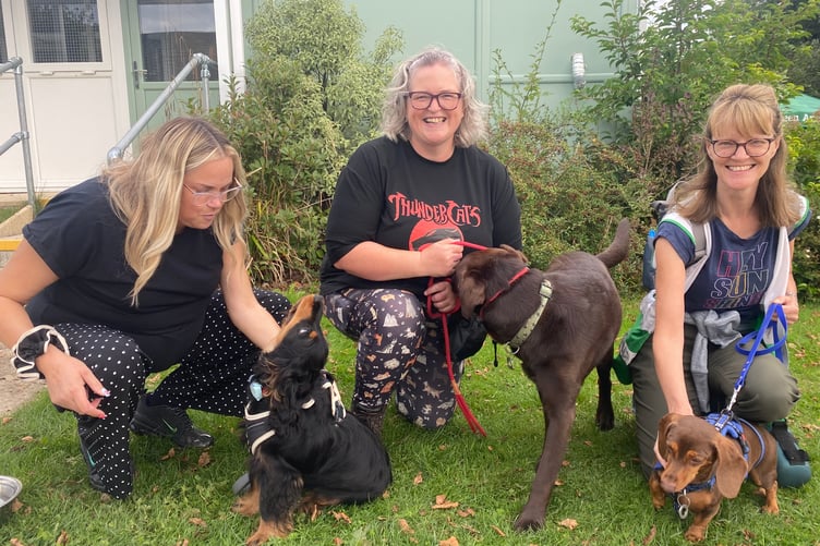 Three go walkies with their four-legged friends in the Margaret Green sponsored mass dog walk.
