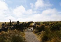 New Dartmoor badge encourages celebration and connection