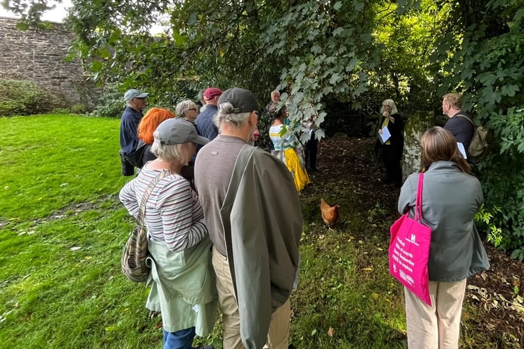 Investigating walled gardens for hidden historic features at Tavistock Heritage Open Days festival.