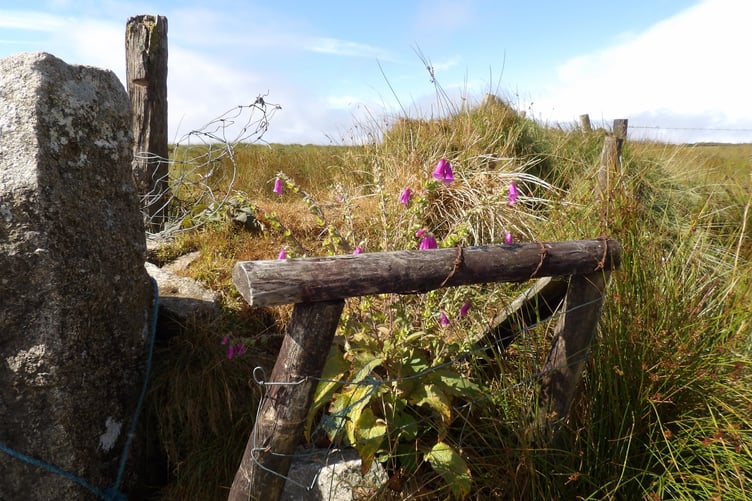 Getting around Dartmoor can be tricky without a car