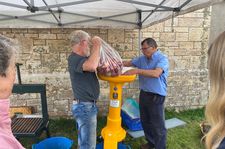 An apple crusher is filled with donated apples at Bere Apple Fest.