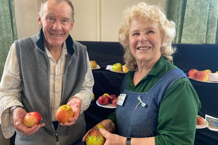 Frances Howard, apple expert, gives advice on apple care and identification at Bere Apple Fest.