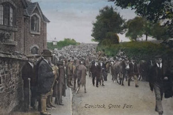 Tavistock Goose Fair will not have any guest geese this year, but remains a feather in the cap of the town with about 20,000 visitors expected.