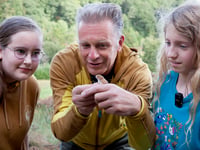 Project invites kids to breed harvest mice