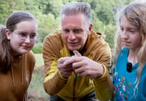 Devon kids invited to take part in harvest mouse conservation project