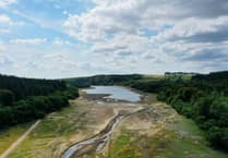 Seven Dartmoor reservoirs 'critically low'