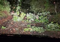 Storm Austen sweeps across Devon