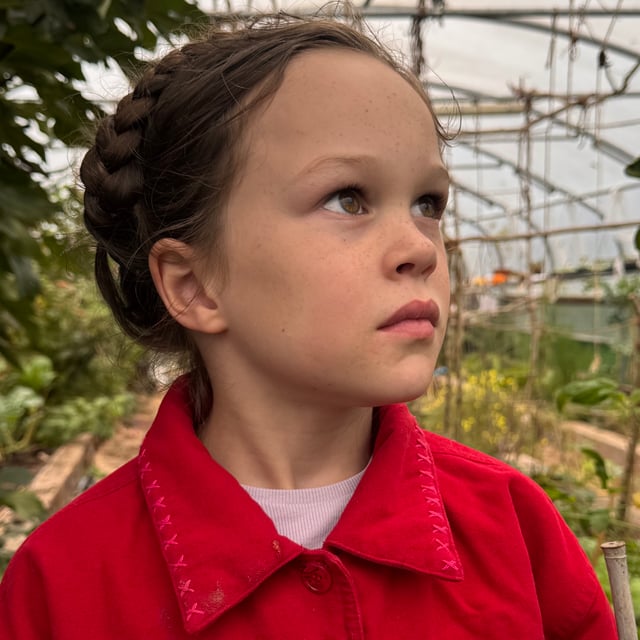 Nine-year-old girl's plea to stop data centre