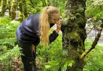Artists collaborate on calendar for River Dart wildlife