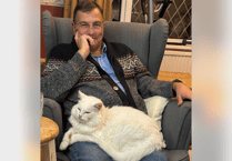 Devon MP calls for action over cat road deaths
